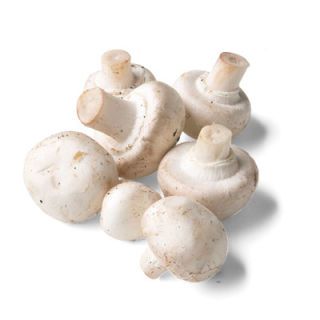 Disse are the youngest type of cultivated white mushrooms, and are tightly enclosed around the stem. The name refers to the shape and stage of its growth, not the size (cap and flat are the larger stages). They have a delicate flavor and fine texture that lends them to take on other flavors. When a recipe in this book calls for an unspecified type of mushroom, these are the ones to use.