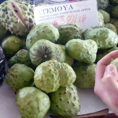  atemoya is actually a fruit hybrid. It is a combination of the sugar apple and the cherimoya. The fruit is both sweet and tart and combines the flavors of pineapple, coconut, and vanilla. Atemoyas are popular to Taiwan, Palestine, and Lebanon, however it is native to Central and South America. The flesh can be scooped out of the shell and is best when chilled. Watch out for the large black seeds found throughout, they are toxic!