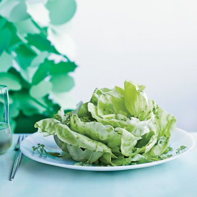 Boston Lettuce Salad with Herbs 
