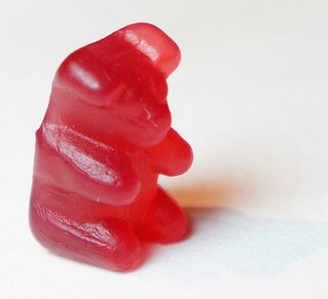 gigant gummy bear