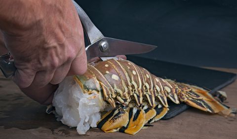 skjæring lobster tail