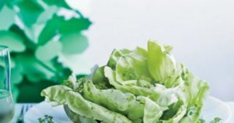 54f6b23a7ada7_-_boston-lettuce-salad-herbs-recipe-fw0911-xl