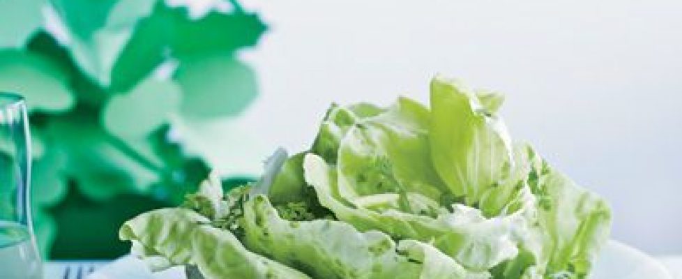 54f6b23a7ada7_-_boston-lettuce-salad-herbs-recipe-fw0911-xl